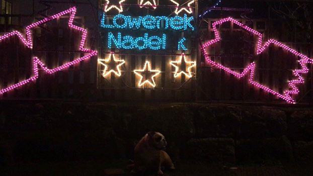 Christmas lights! 